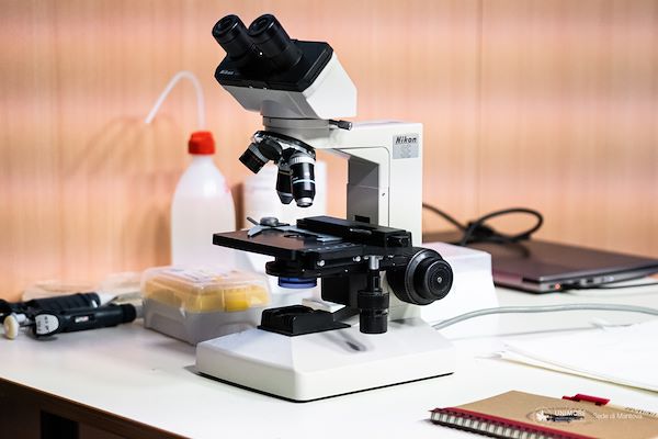 Open Day Ingegneria Informatica e Chimica Verde - Febbraio 2024