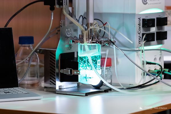 Open Day Ingegneria Informatica e Chimica Verde - Febbraio 2024